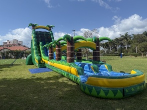 Tropical Storm Water Slide 30ft DL
