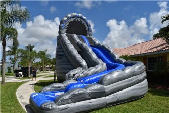 Wild Rapids