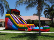 Custom Themed 2 Lane Slide