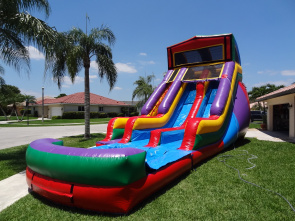 Custom Themed 2 Lane Water Slide