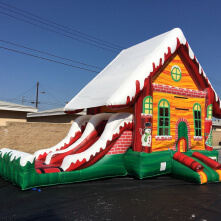 4 in 1 Holiday Fun Combo