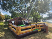 Deluxe Mechanical Bull