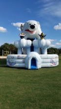 Polar Bear Plunge Slide