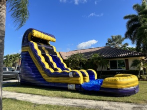 Purple Haze Water Slide w/pool