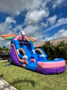 Unicorn Water Slide
