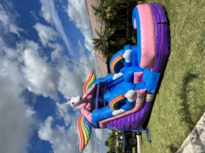 Unicorn Water Slide