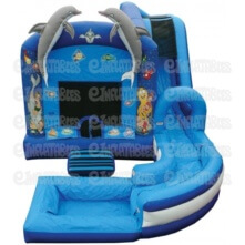 4 in 1 Jump & Splash Dolphin Combo