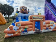 Bear Camp Water Slide 20ft DL