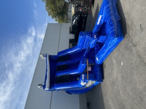 Dolphin Water Slide 18ft DL