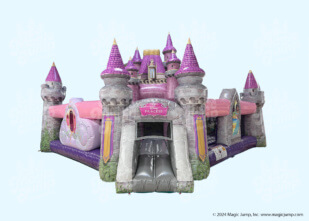 Disney Princess Playland Toddler