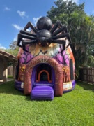 Giant Spider Nest Bounce House